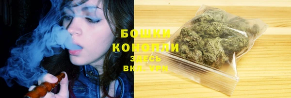 дмт Белокуриха