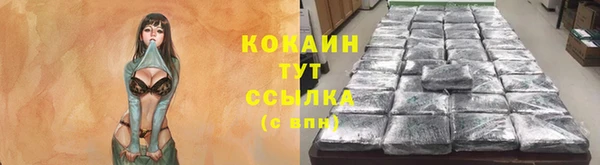 крисы Беломорск
