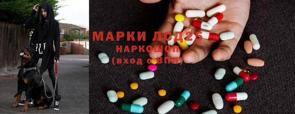крисы Беломорск