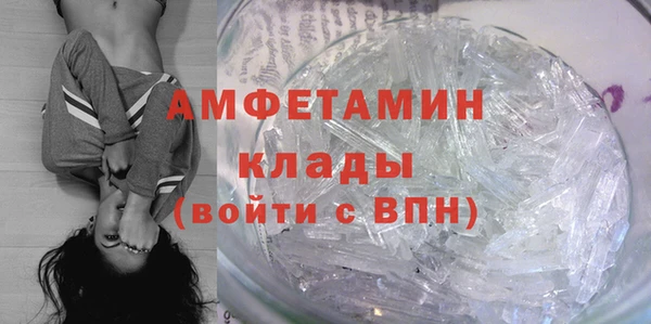 ПСИЛОЦИБИНОВЫЕ ГРИБЫ Арсеньев